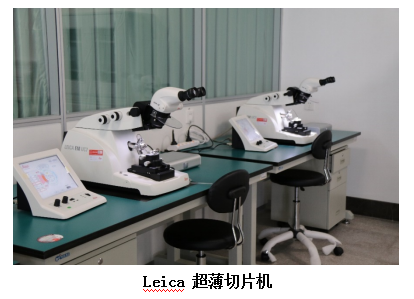 a2a57cd307664b4e9b2290c6b206f17c.png image.png